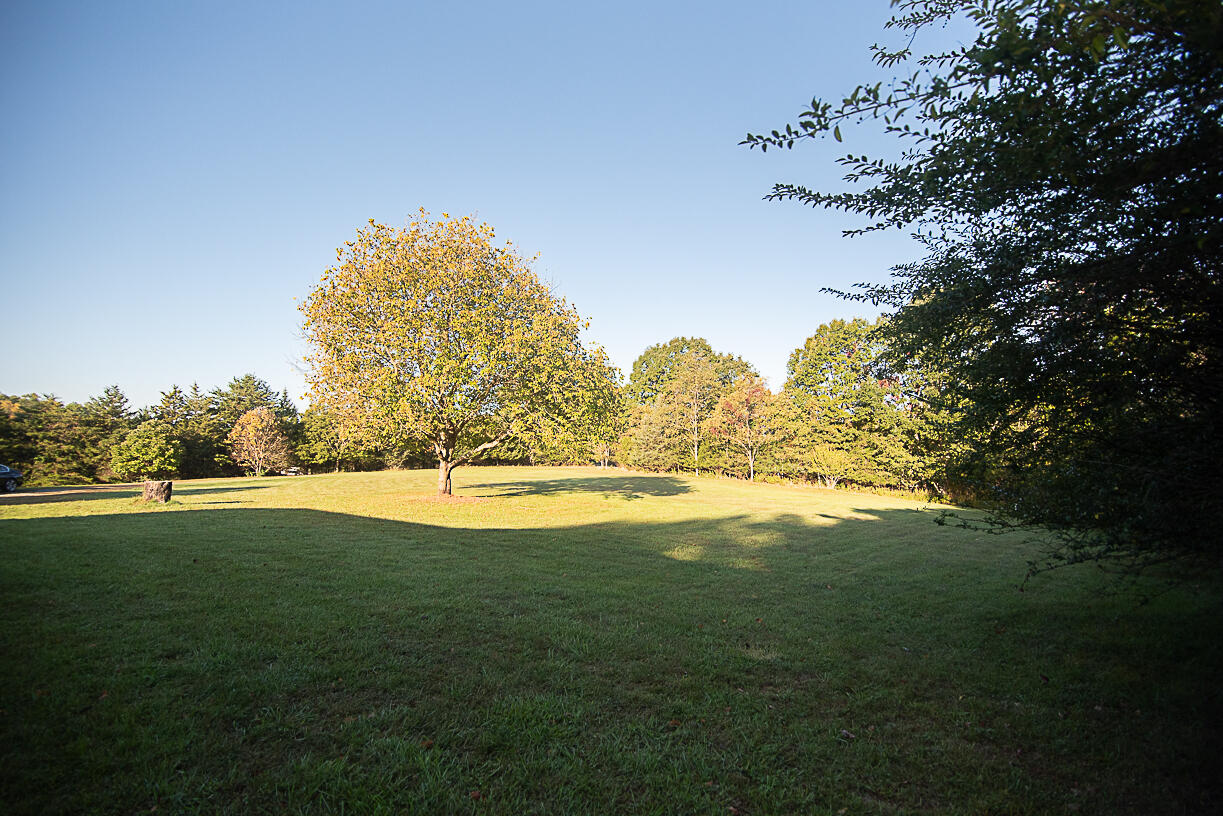 1376 Morewood Road Hardy, VA 24101 - Photo 26 of 43 _DSC2480