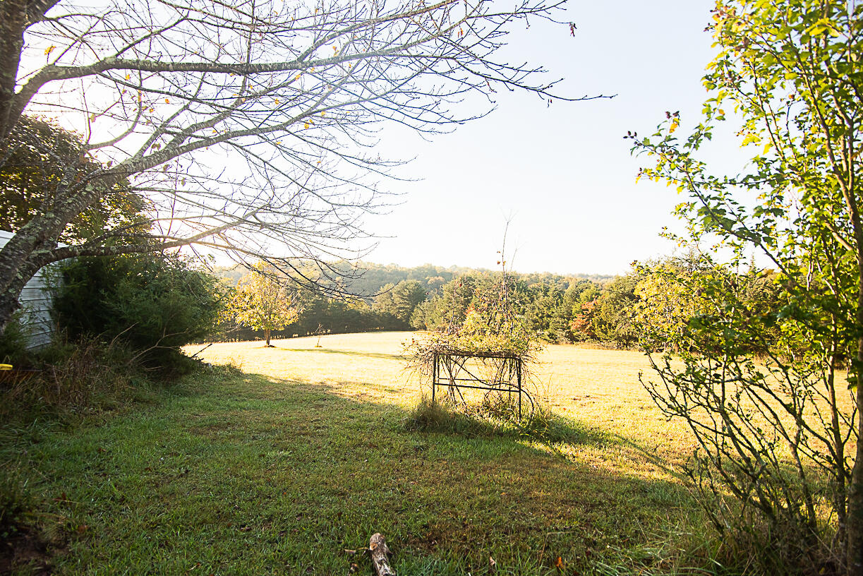 1376 Morewood Road Hardy, VA 24101 - Photo 31 of 43 _DSC2505