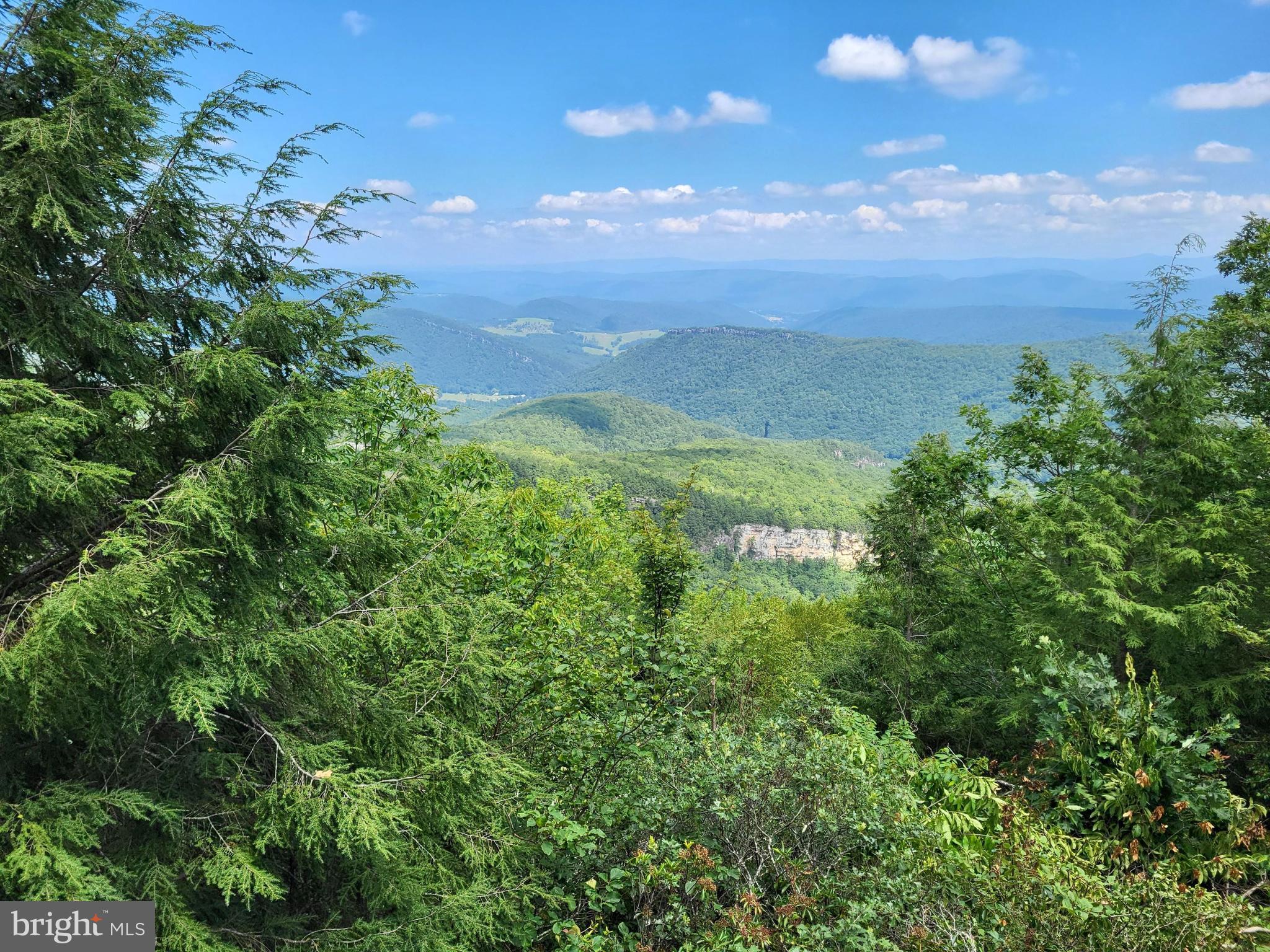 207 Lower Knob Road Franklin, WV 26807 - Photo 23 of 30