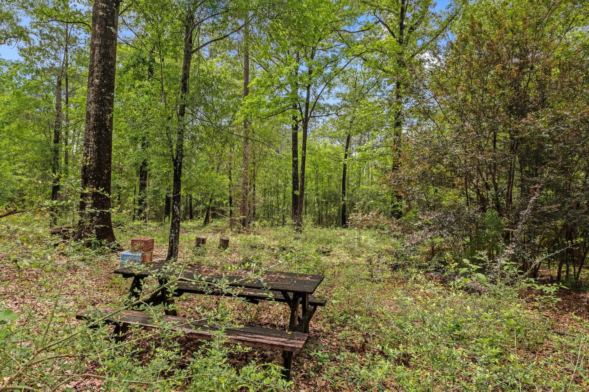 51597 Hollingsworth Road Bay Minette, AL 36507 - Photo 31 of 43