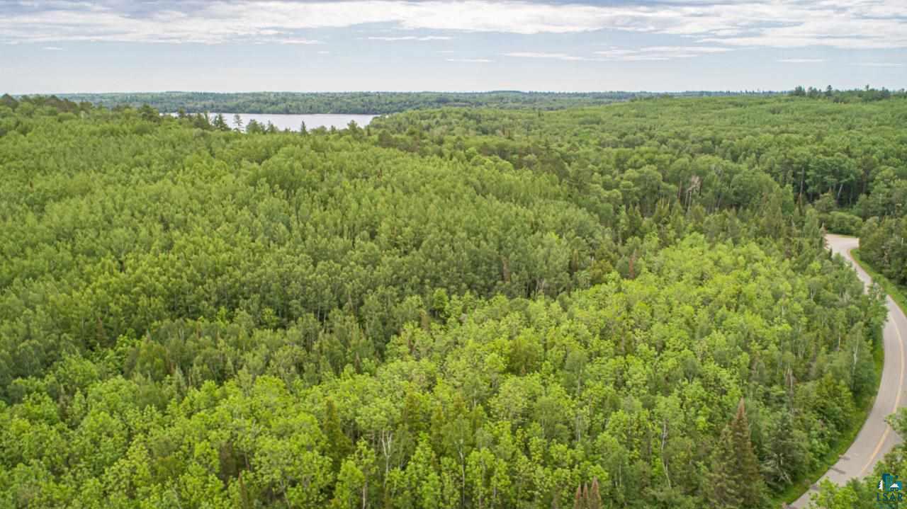 Tbd Wolf Lake Road Ely, MN 55731 - Photo 11 of 14 Gallery Image 11