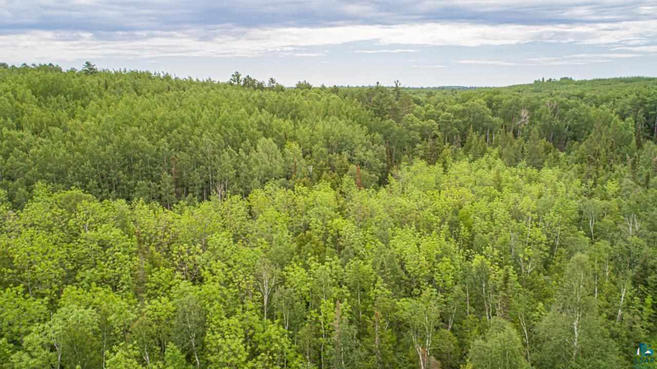 Tbd Wolf Lake Road Ely, MN 55731 - Photo 13 of 14 Gallery Image 13