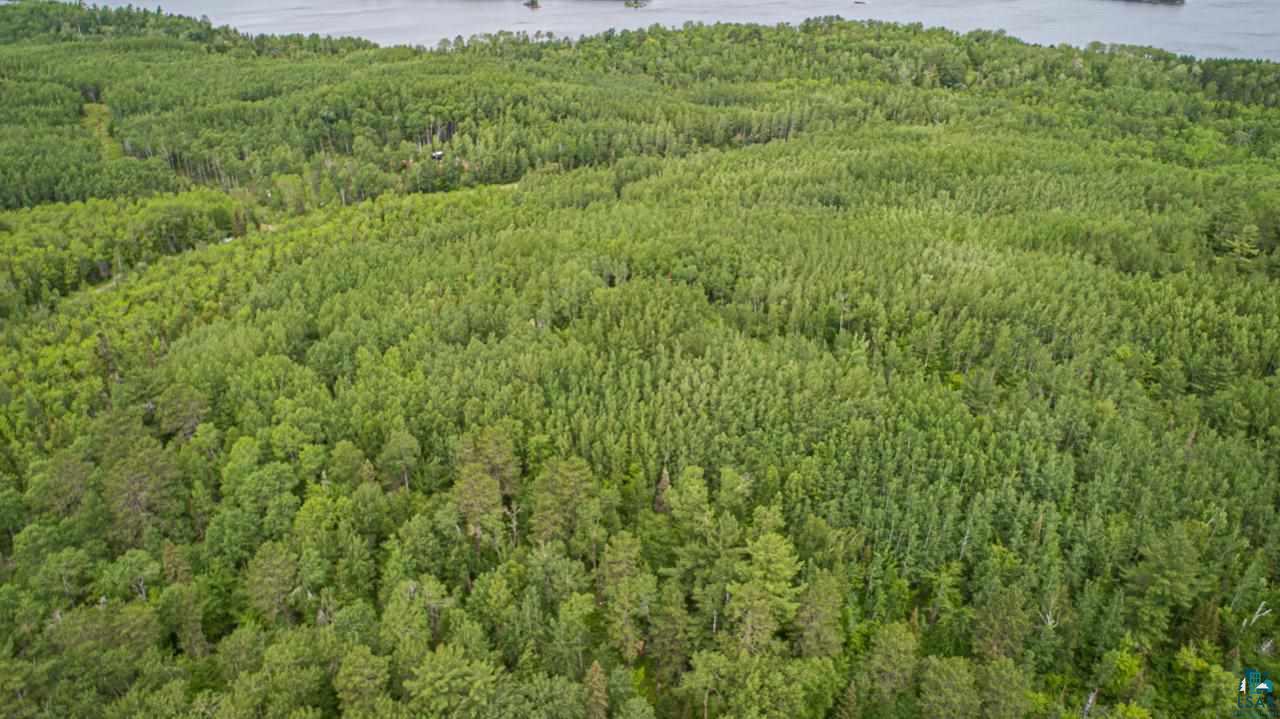 Tbd Wolf Lake Road Ely, MN 55731 - Photo 4 of 14 Gallery Image 4