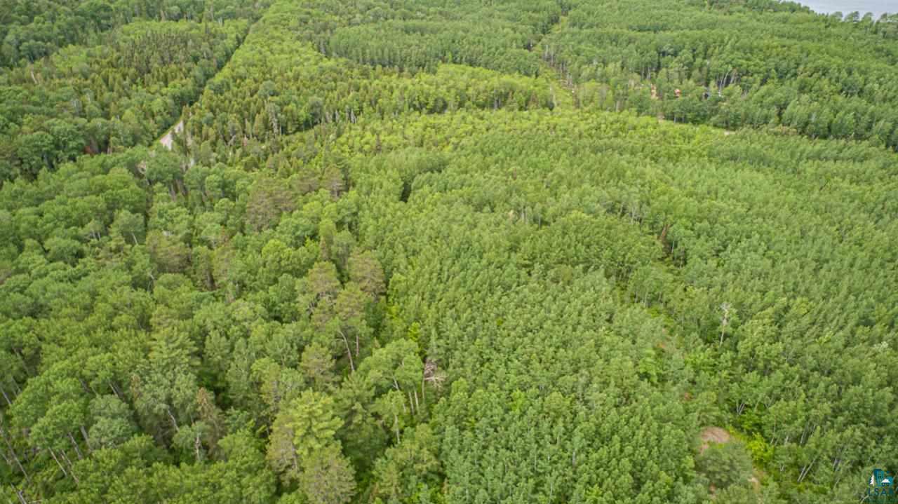 Tbd Wolf Lake Road Ely, MN 55731 - Photo 5 of 14 Gallery Image 5