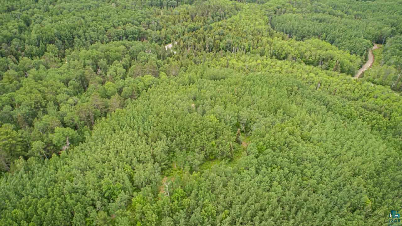 Tbd Wolf Lake Road Ely, MN 55731 - Photo 7 of 14 Gallery Image 7