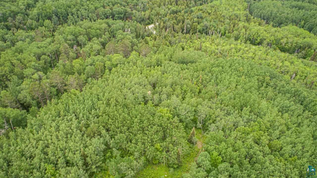 Tbd Wolf Lake Road Ely, MN 55731 - Photo 8 of 14 Gallery Image 8