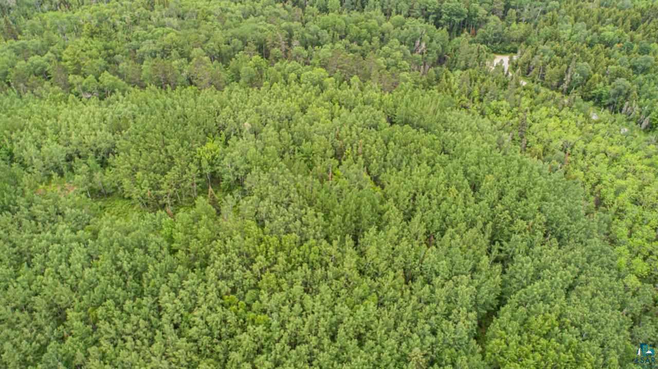 Tbd Wolf Lake Road Ely, MN 55731 - Photo 9 of 14 Gallery Image 9