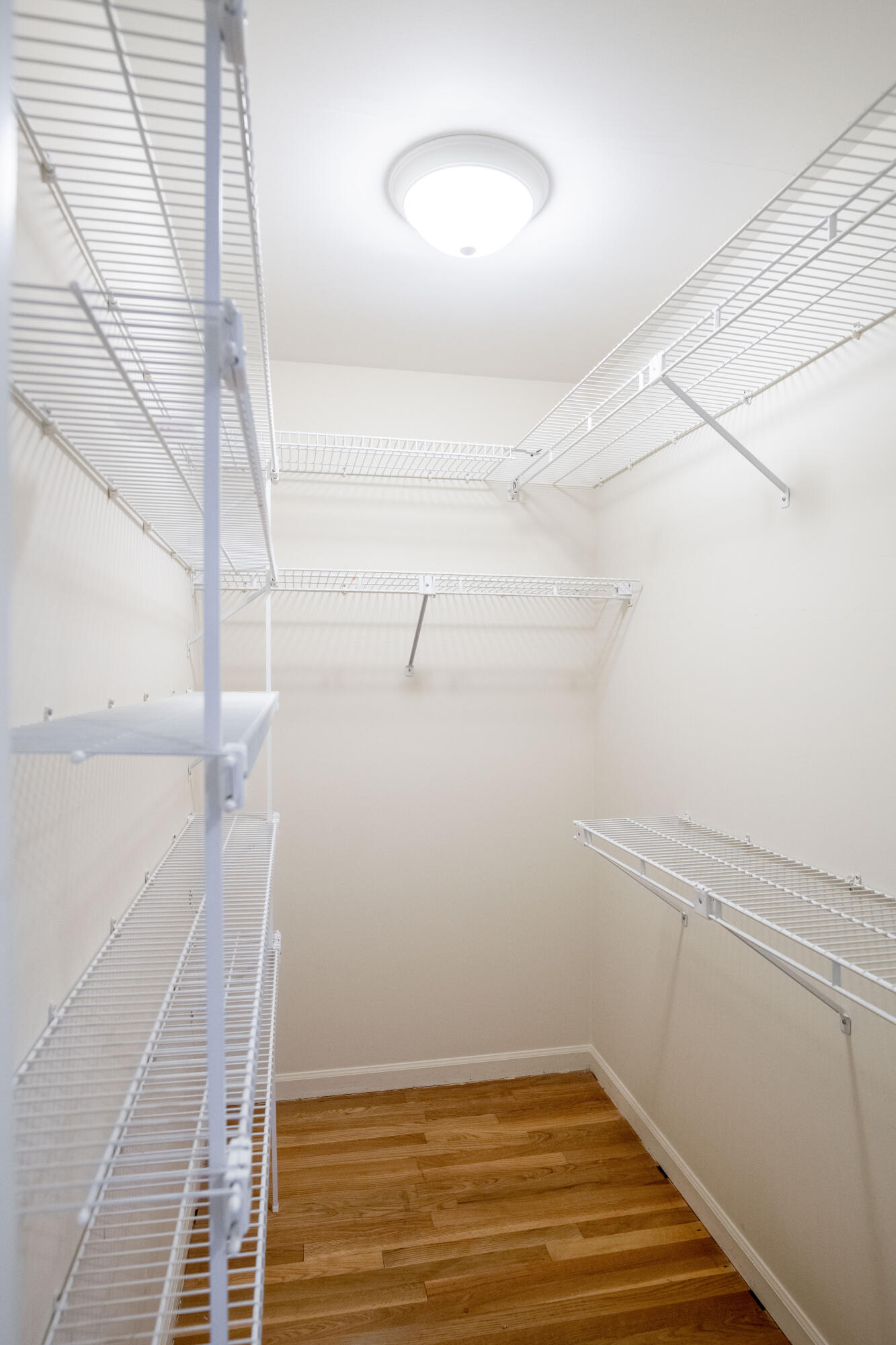 1692 Bahama Road Lexington, KY 40509 - Photo 42 of 71 Bahama__14