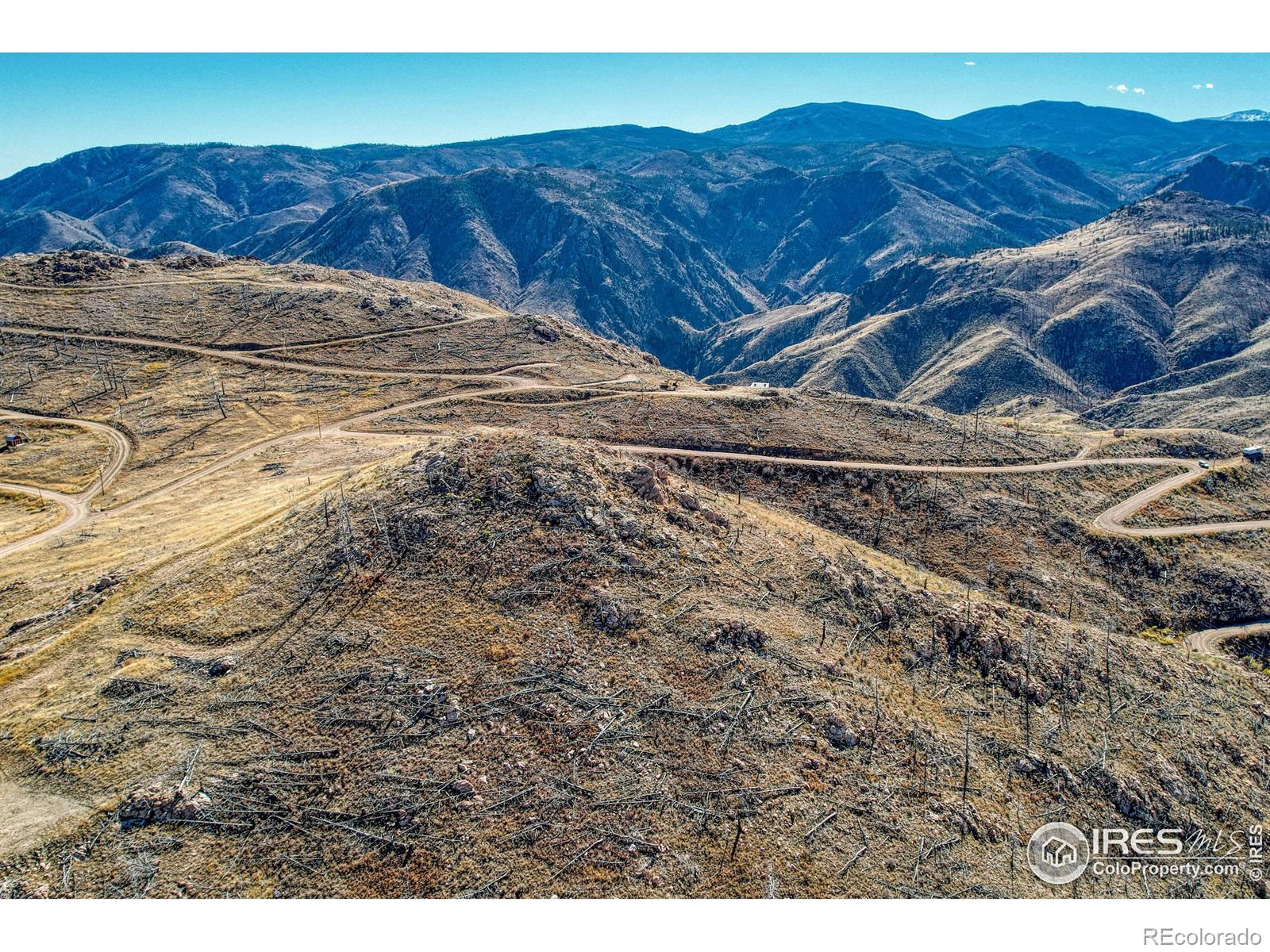 112 Rabbit Ears Court Livermore, CO 80536 - Photo 12 of 32