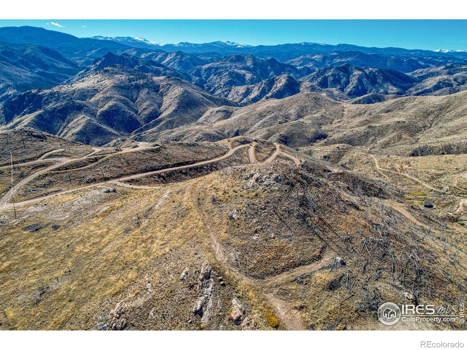 112 Rabbit Ears Court Livermore, CO 80536 - Photo 17 of 32