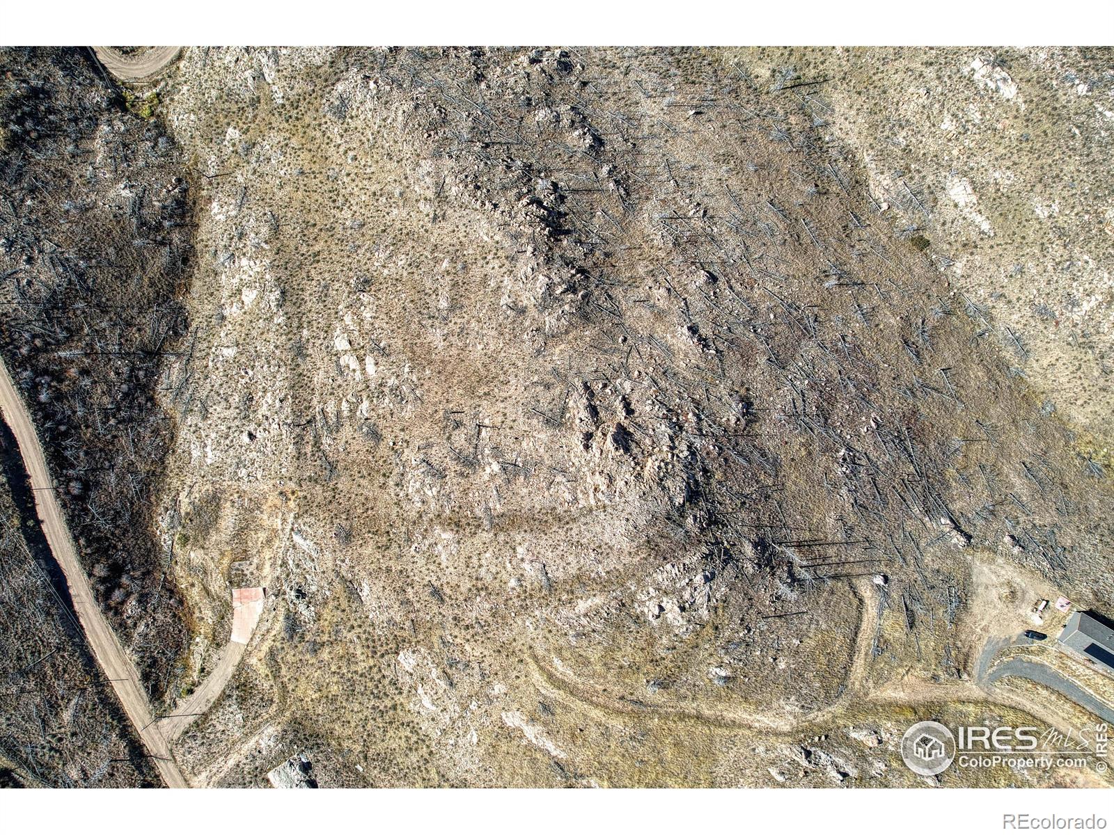 112 Rabbit Ears Court Livermore, CO 80536 - Photo 20 of 32