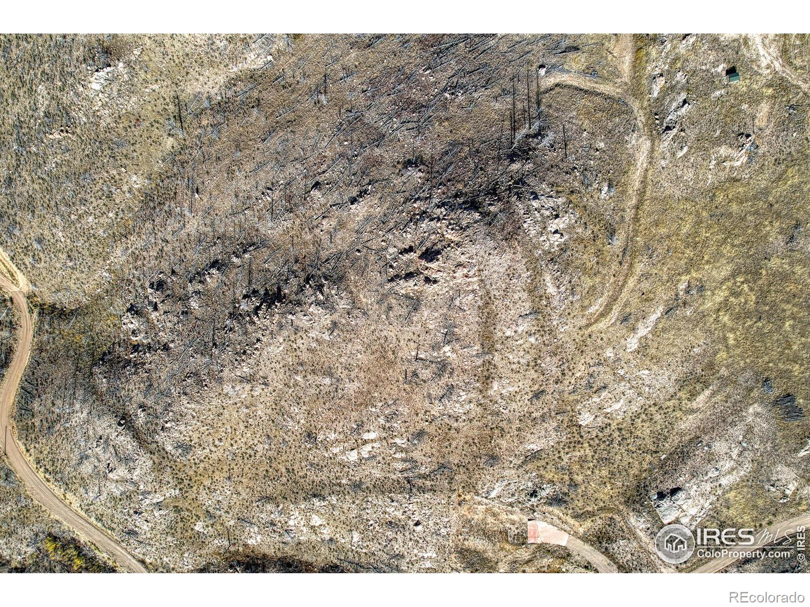 112 Rabbit Ears Court Livermore, CO 80536 - Photo 21 of 32