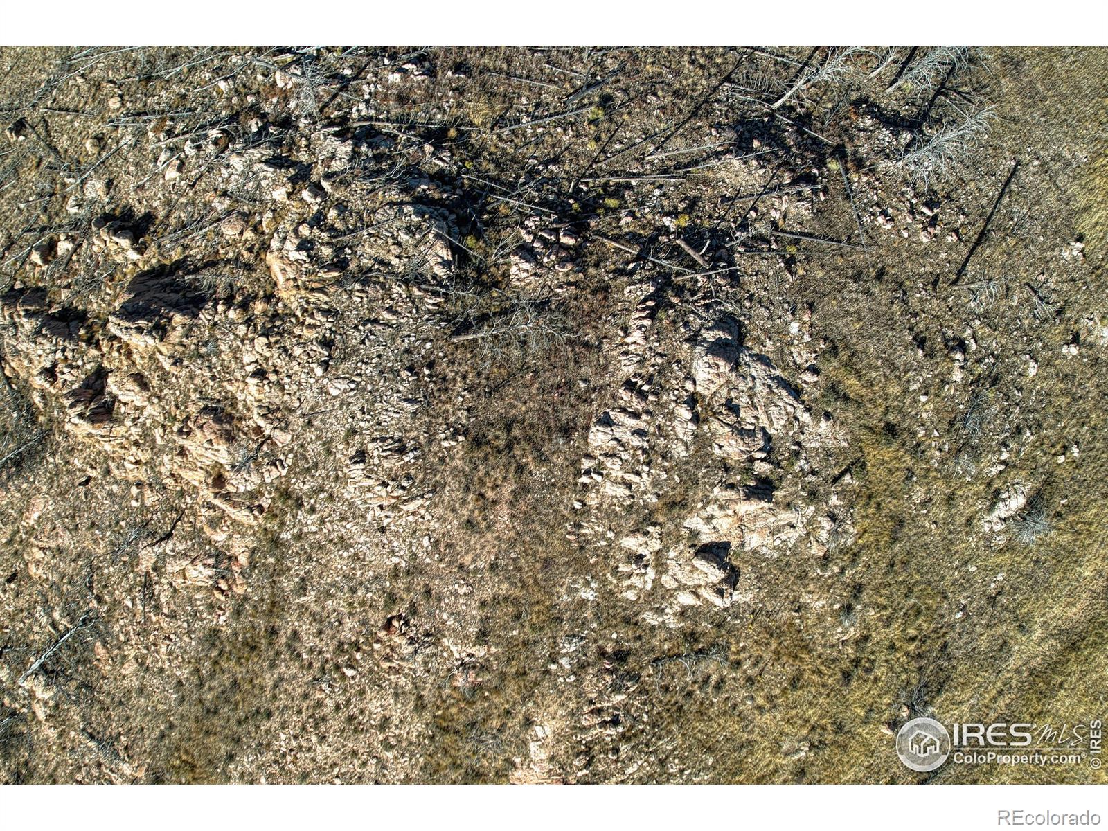 112 Rabbit Ears Court Livermore, CO 80536 - Photo 22 of 32