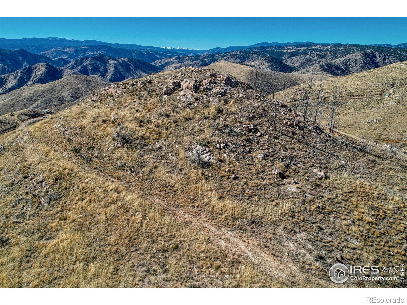 112 Rabbit Ears Court Livermore, CO 80536 - Photo 3 of 32