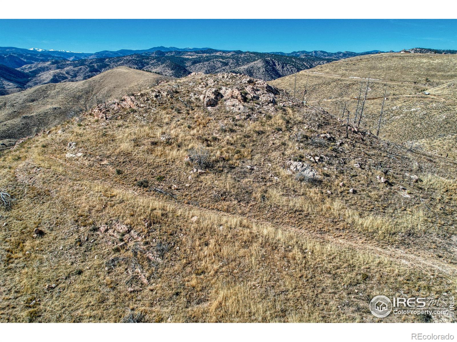 112 Rabbit Ears Court Livermore, CO 80536 - Photo 4 of 32