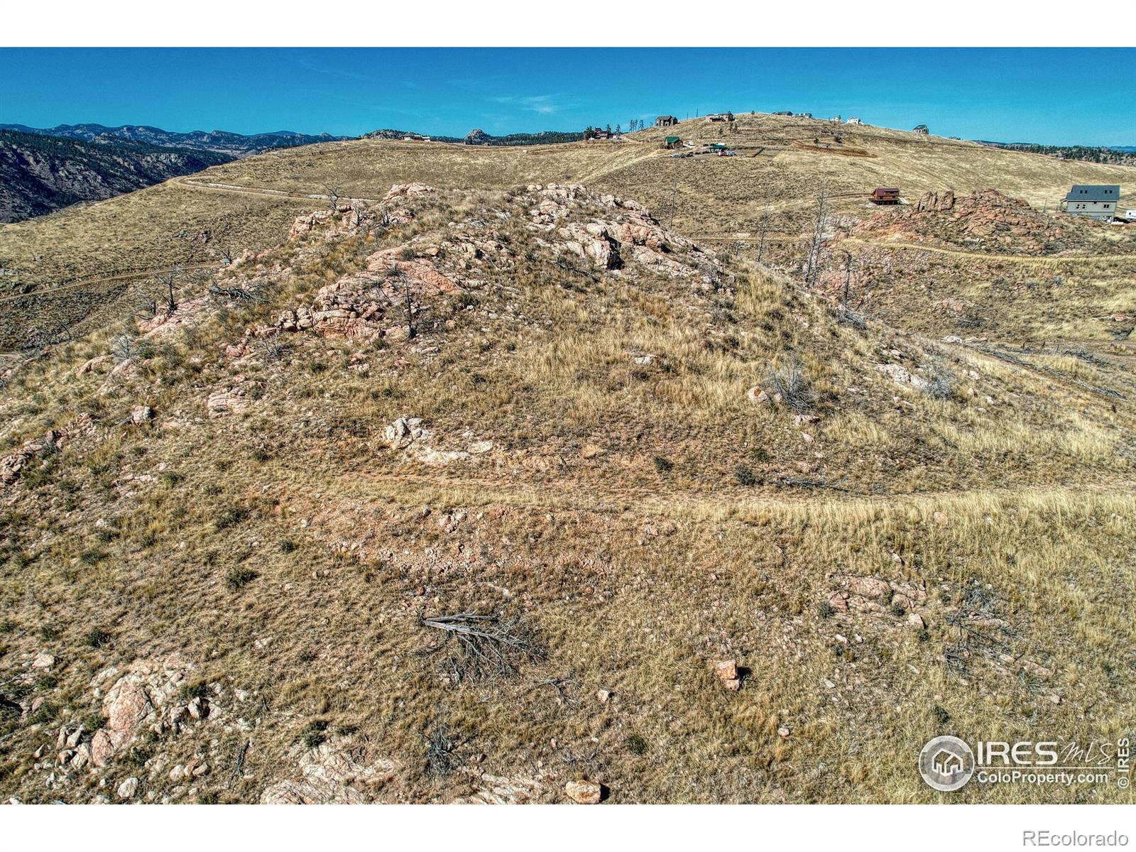 112 Rabbit Ears Court Livermore, CO 80536 - Photo 9 of 32