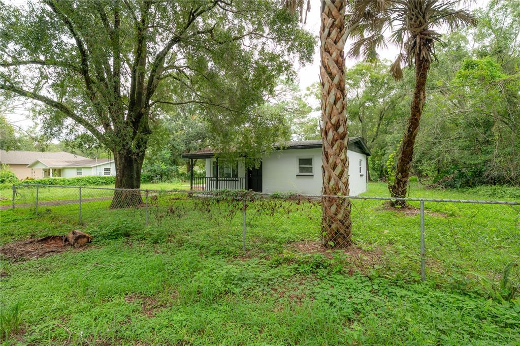 10411 North Woodmere Road Tampa, FL 33617 - Photo 26 of 29 a view of a backyard with large trees