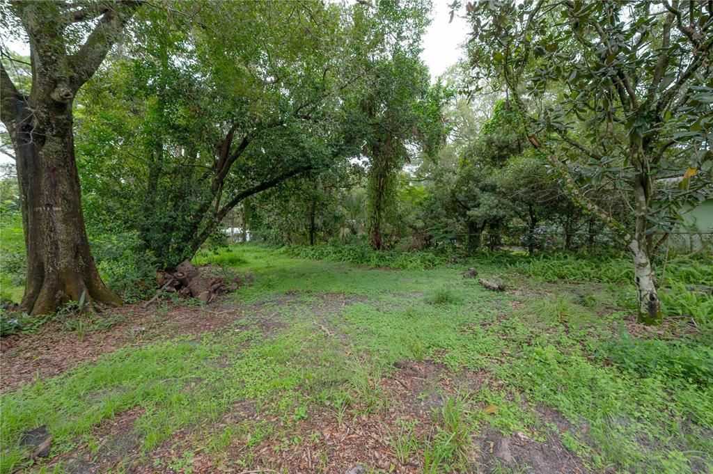 10411 North Woodmere Road Tampa, FL 33617 - Photo 28 of 29 a view of a green field with lots of trees