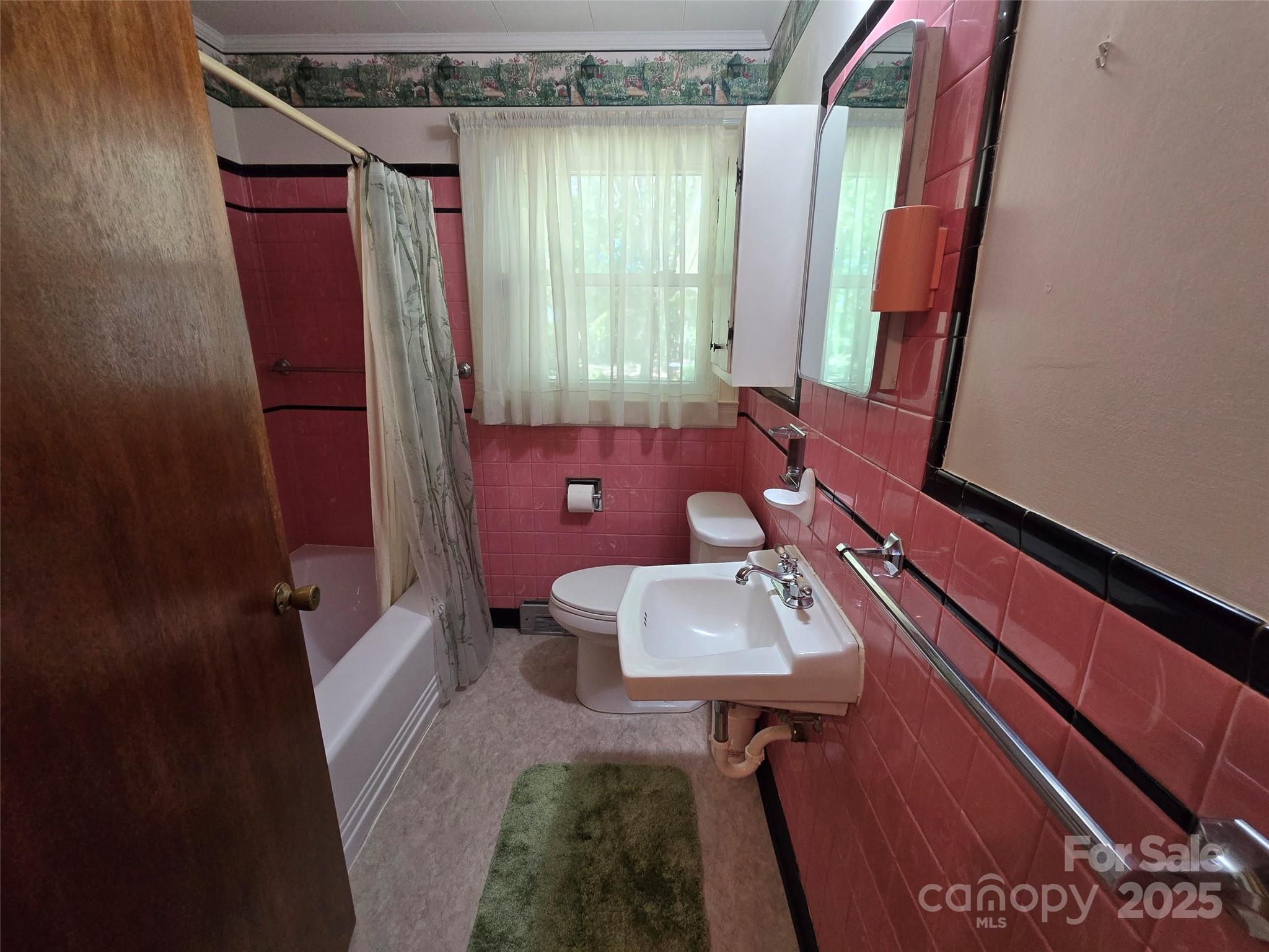 517 Mask Road Mount Gilead, NC 27306 - Photo 19 of 48 a bathroom with a sink a toilet and mirror