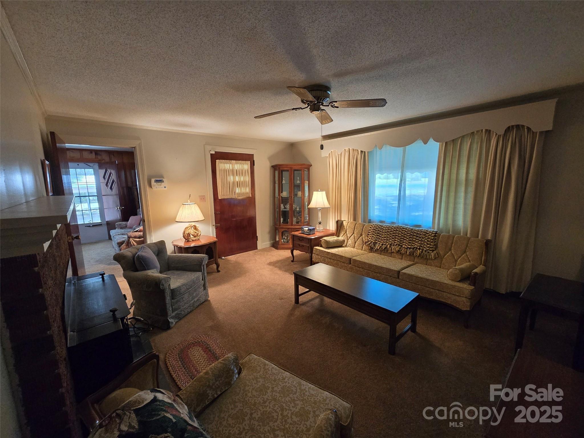 517 Mask Road Mount Gilead, NC 27306 - Photo 6 of 48 a living room with furniture rug and window