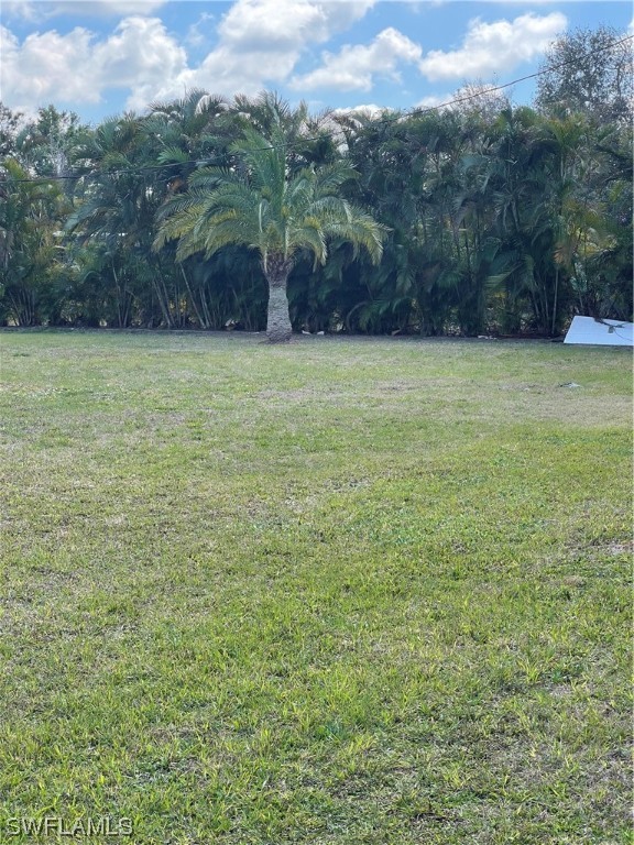 20560 Holiday Drive Estero, FL 33928 - Photo 13 of 33 a view of a yard