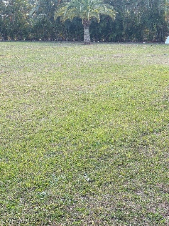 20560 Holiday Drive Estero, FL 33928 - Photo 14 of 33 a view of a yard