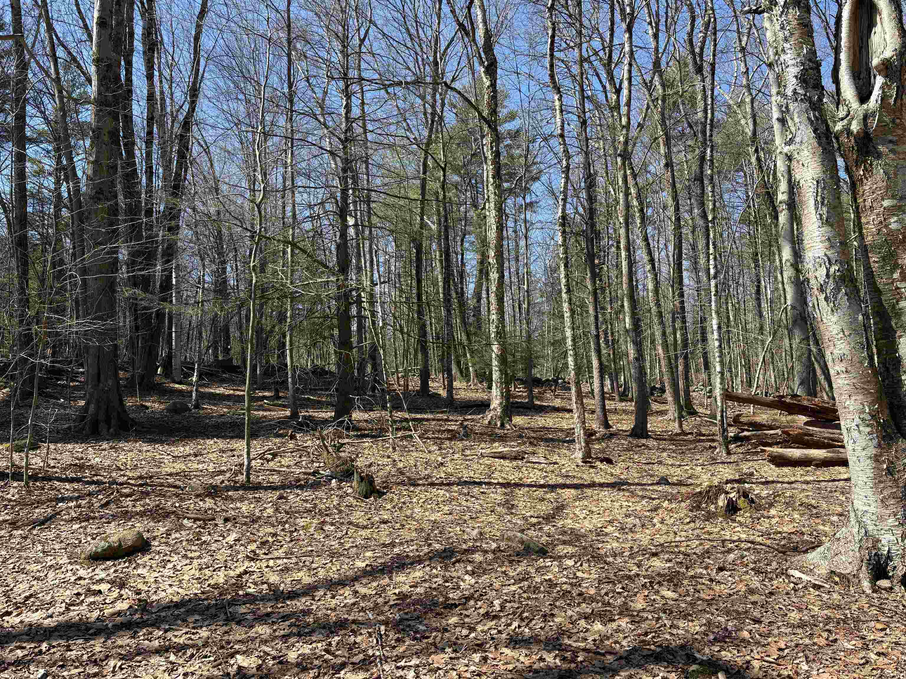 79-1 Currier Road Candia, NH 03034 - Photo 15 of 33