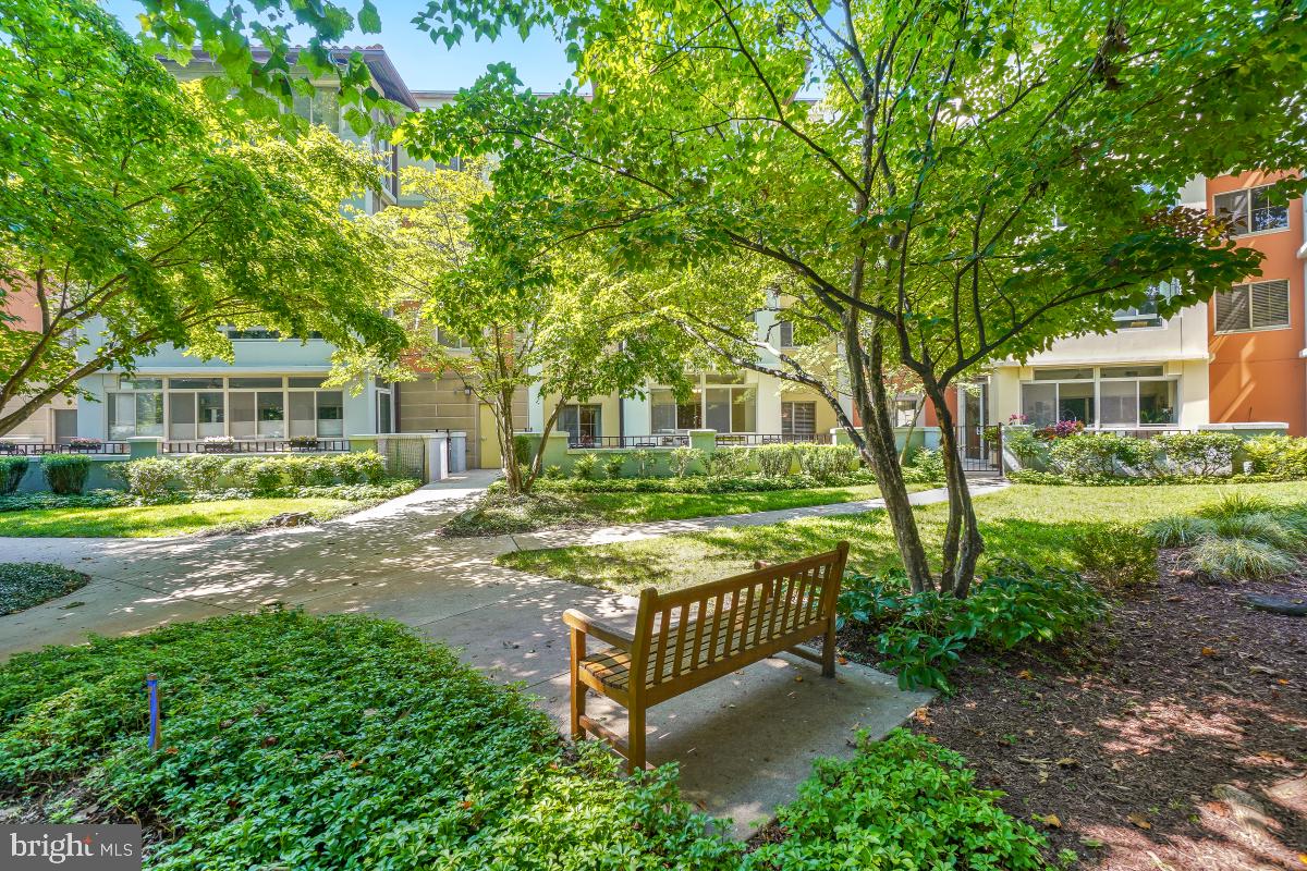 14809 Pennfield Circle, Unit 105 Silver Spring, MD 20906 - Photo 24 of 29 a front view of a house with a garden and trees