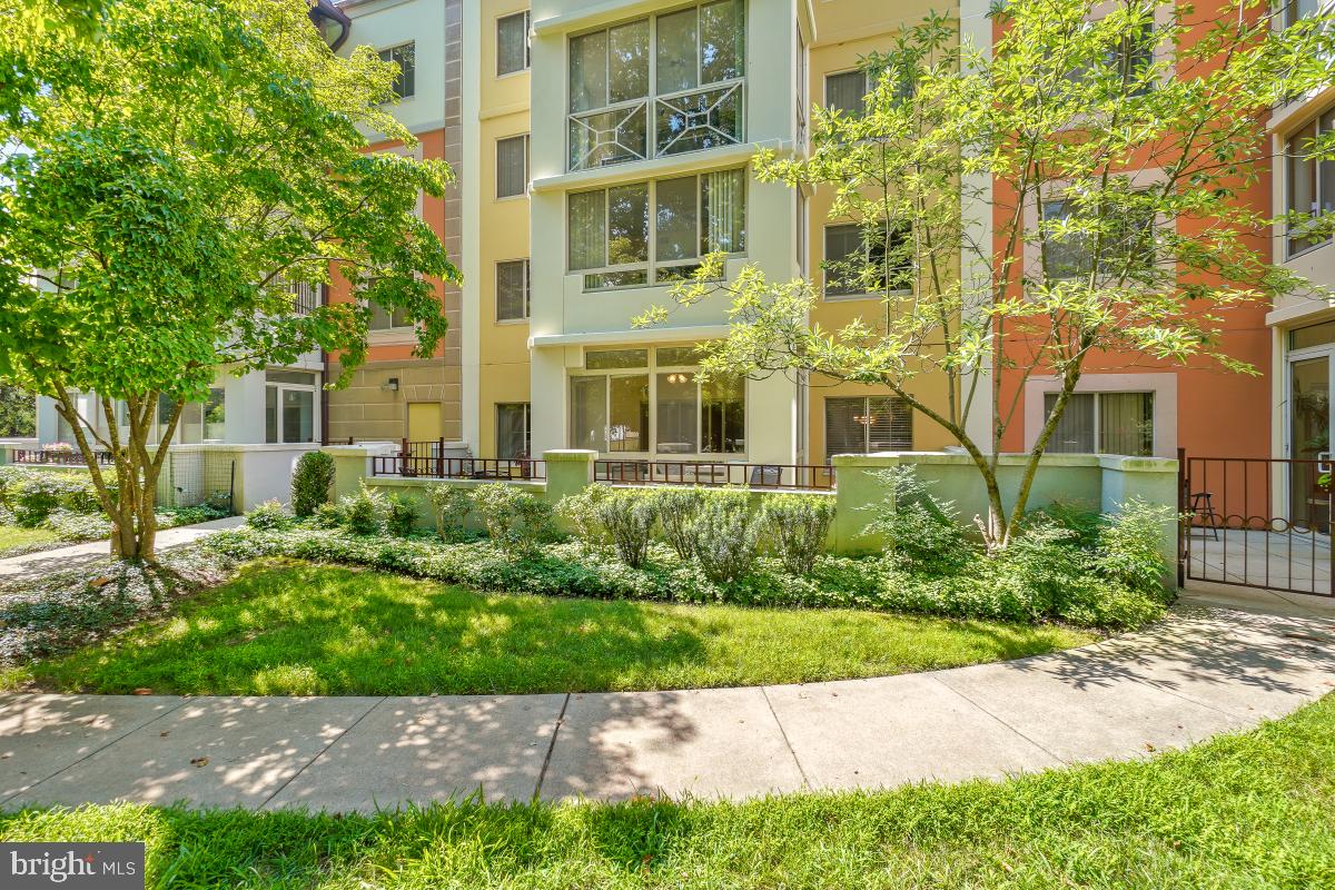 14809 Pennfield Circle, Unit 105 Silver Spring, MD 20906 - Photo 25 of 29 front view of a building
