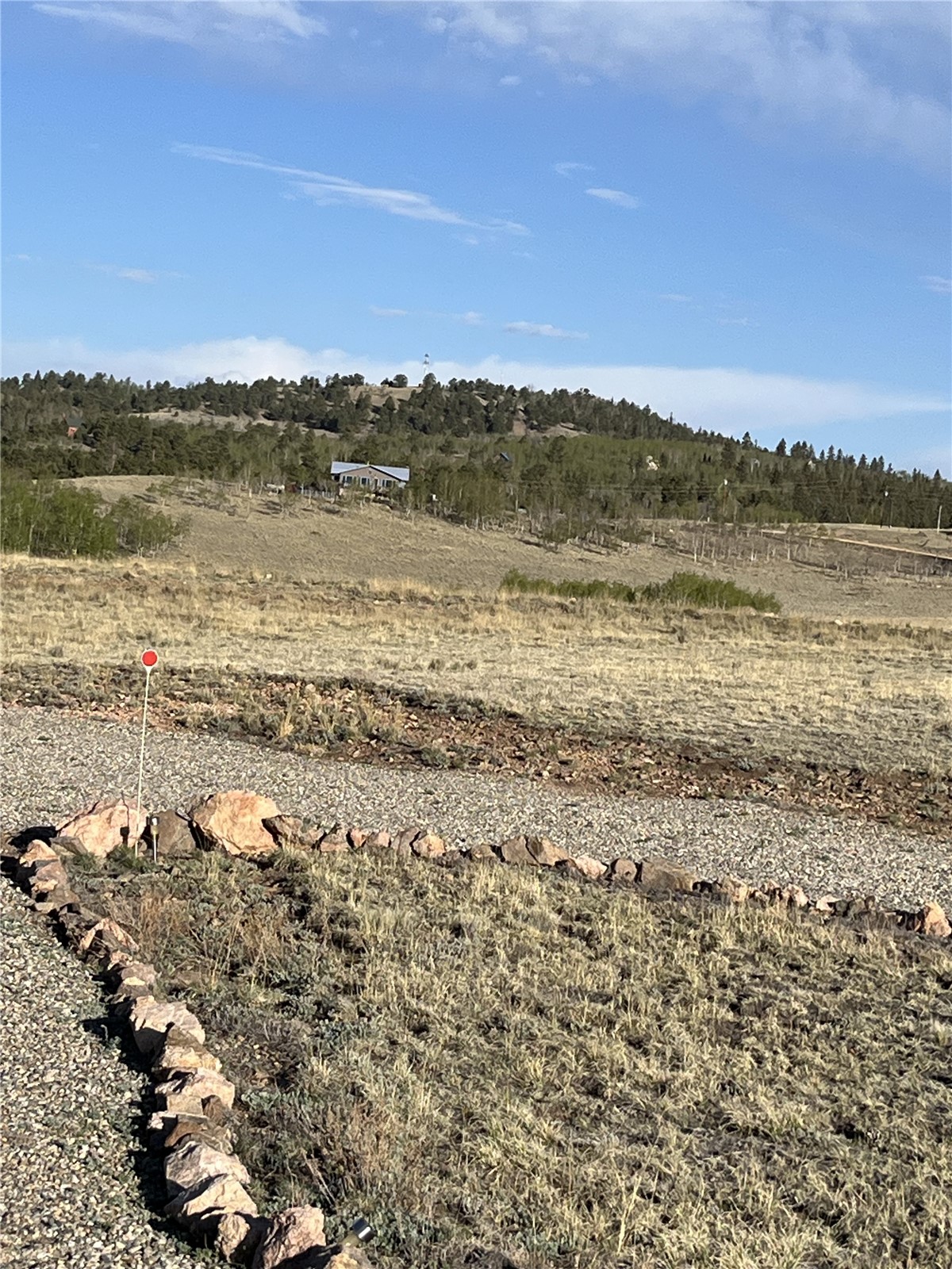 12 Loon Lane Como, CO 80432 - Photo 8 of 31