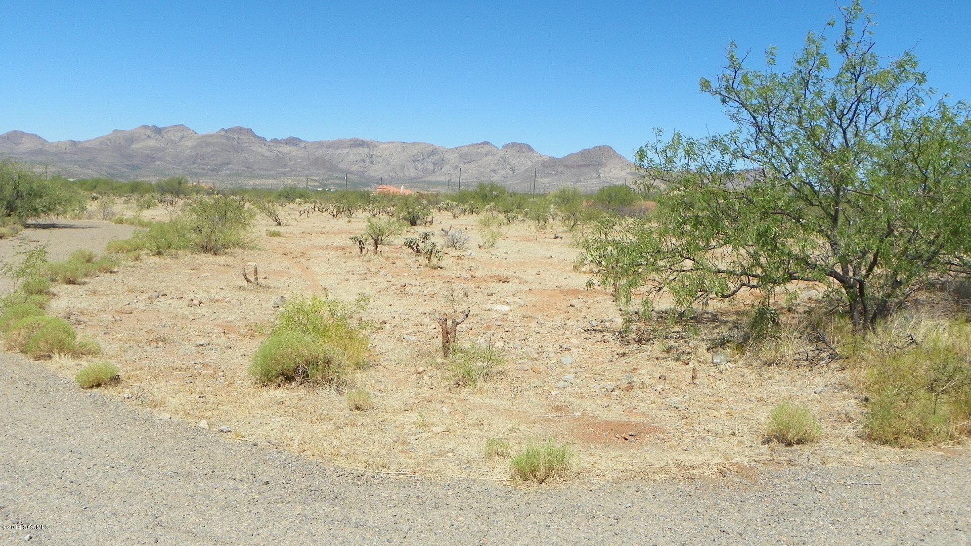 179 Camino Josefina Rio Rico, AZ 85648 - Photo 4 of 4