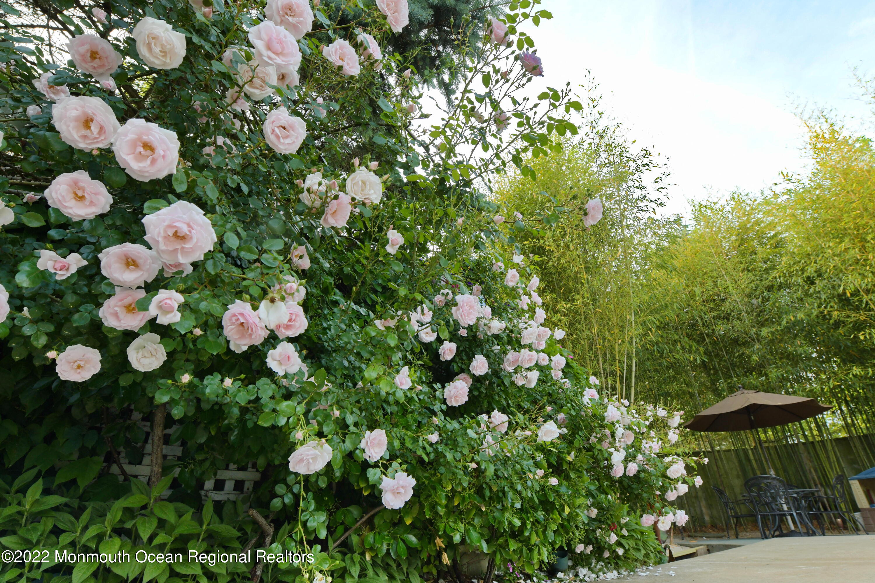 3831 Herbertsville Road Brick, NJ 08724 - Photo 27 of 89 DTP_0024 2