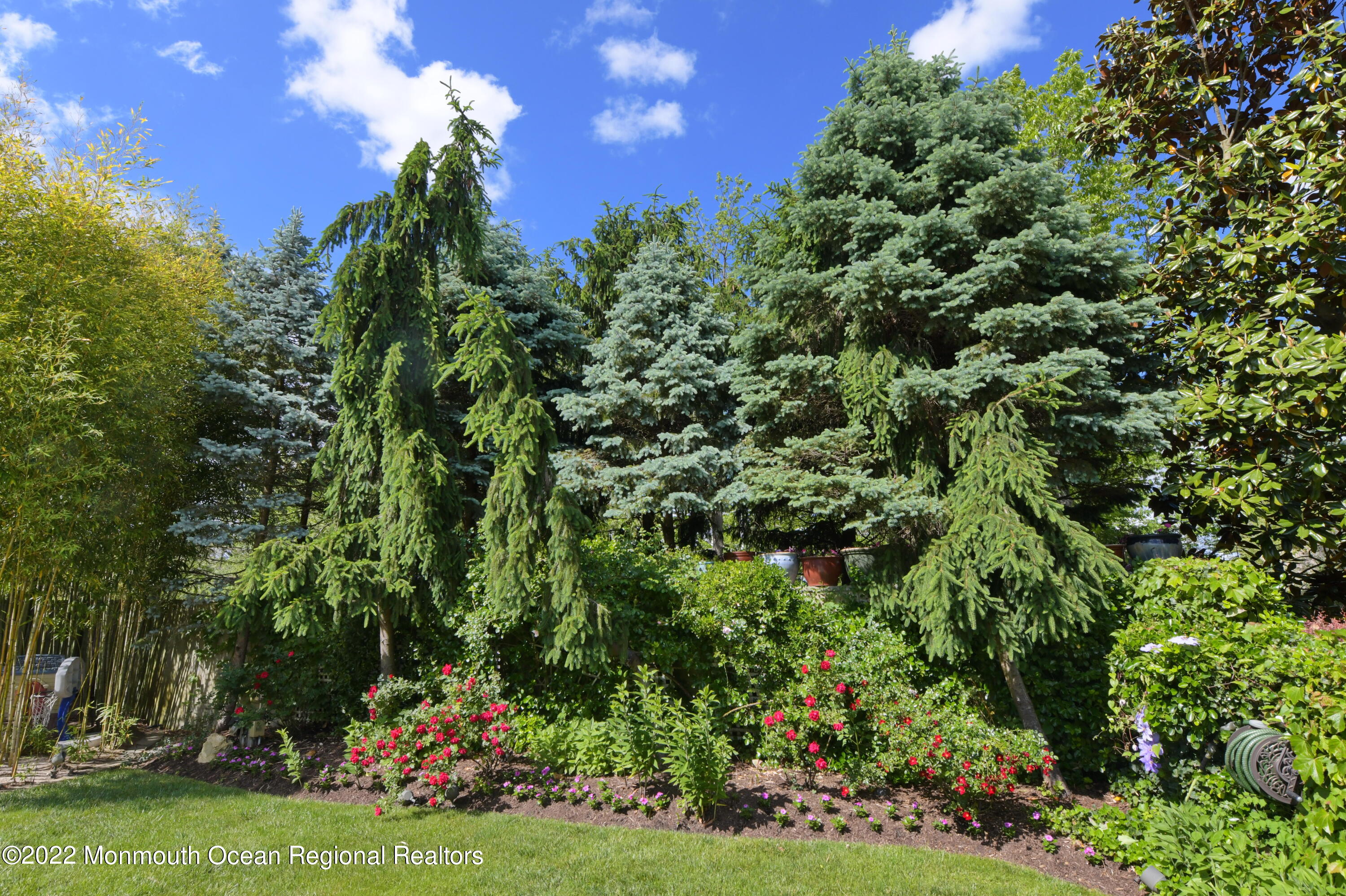 3831 Herbertsville Road Brick, NJ 08724 - Photo 30 of 89 DTP_9789 2