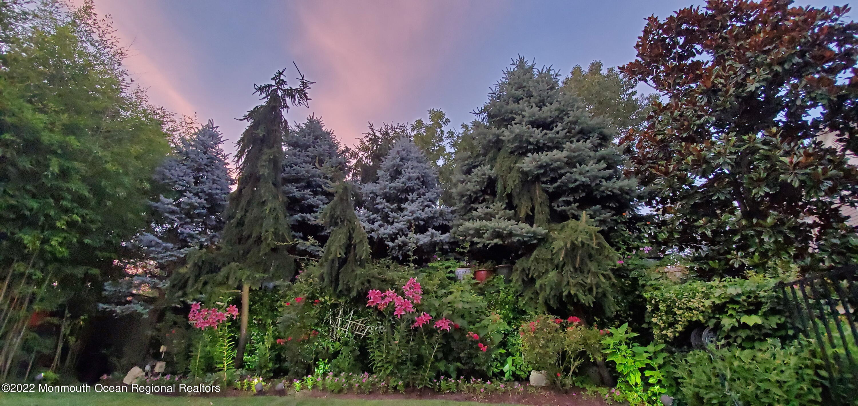 3831 Herbertsville Road Brick, NJ 08724 - Photo 31 of 89 20190715_203118 2