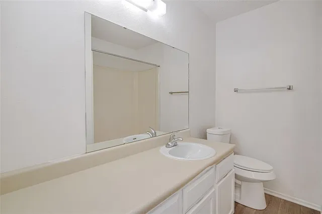 a bathroom with a sink toilet and vanity
