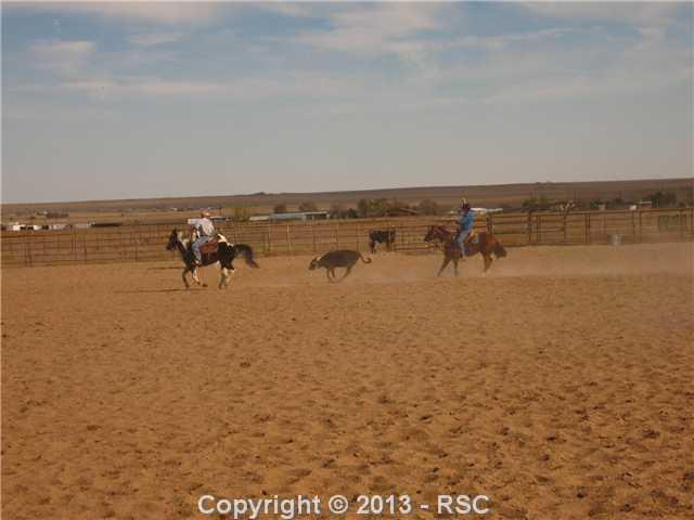1450 Buck Road Calhan, CO 80808 - Photo 25 of 25 Another photo of the arena in use. This is top of the line. Electric, cattle pens, cattle returns, roping chute and all the upgrades. Arena is large enough for all types of livestock uses. 150 ft x 320 ft.