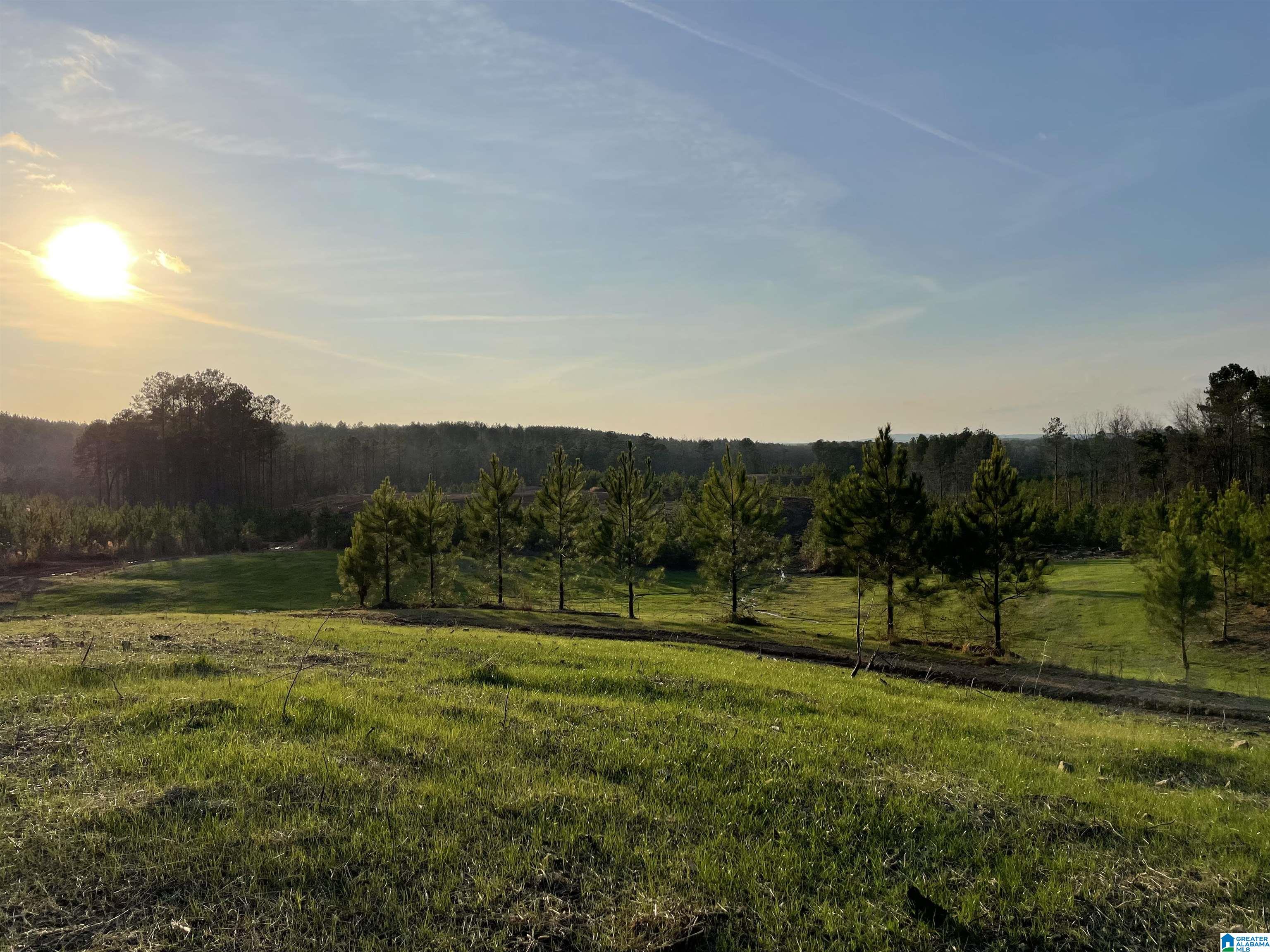 57 Rocky Ridge Road, Unit 5 Columbiana, AL 35051 - Photo 1 of 4
