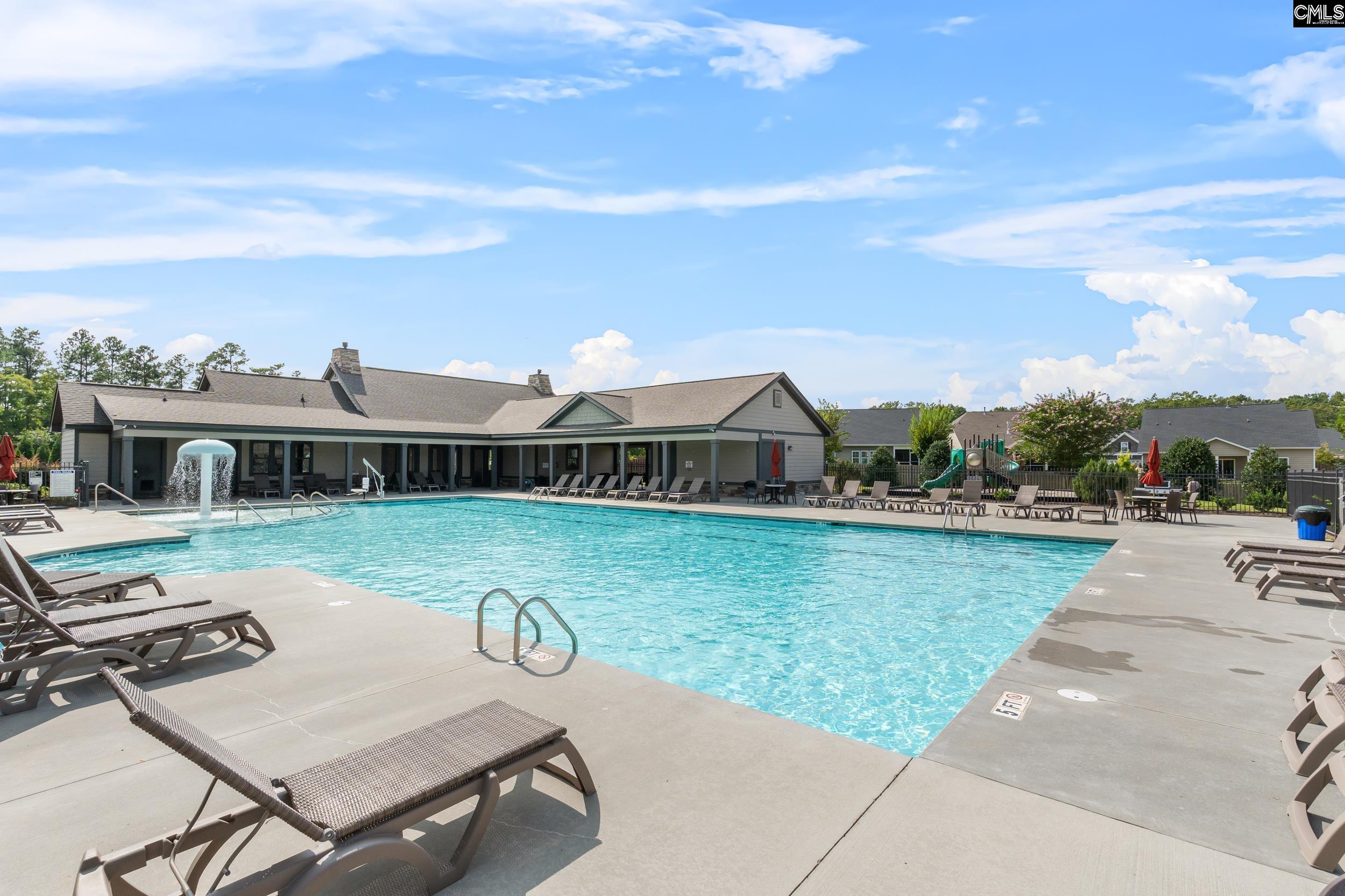 814 Dutchmaster Drive Chapin, SC 29036 - Photo 26 of 29