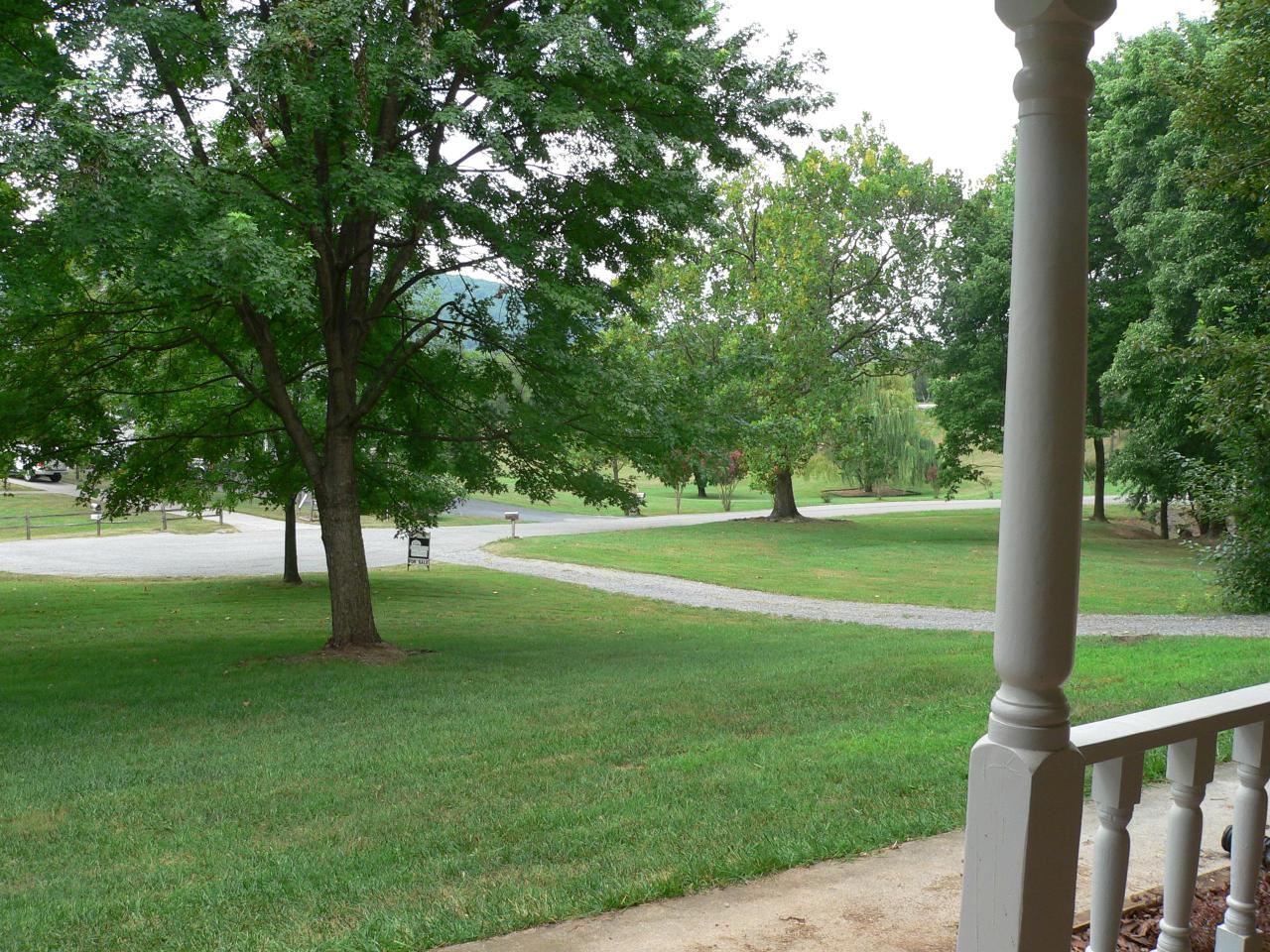Front Yard