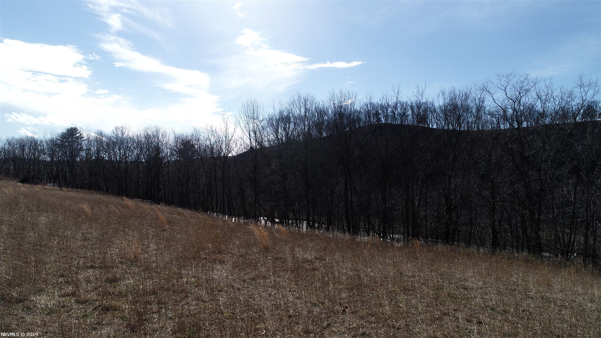 Tbd Major Grahams Road Max Meadows, VA 24360 - Photo 6 of 20 Gallery Image 6