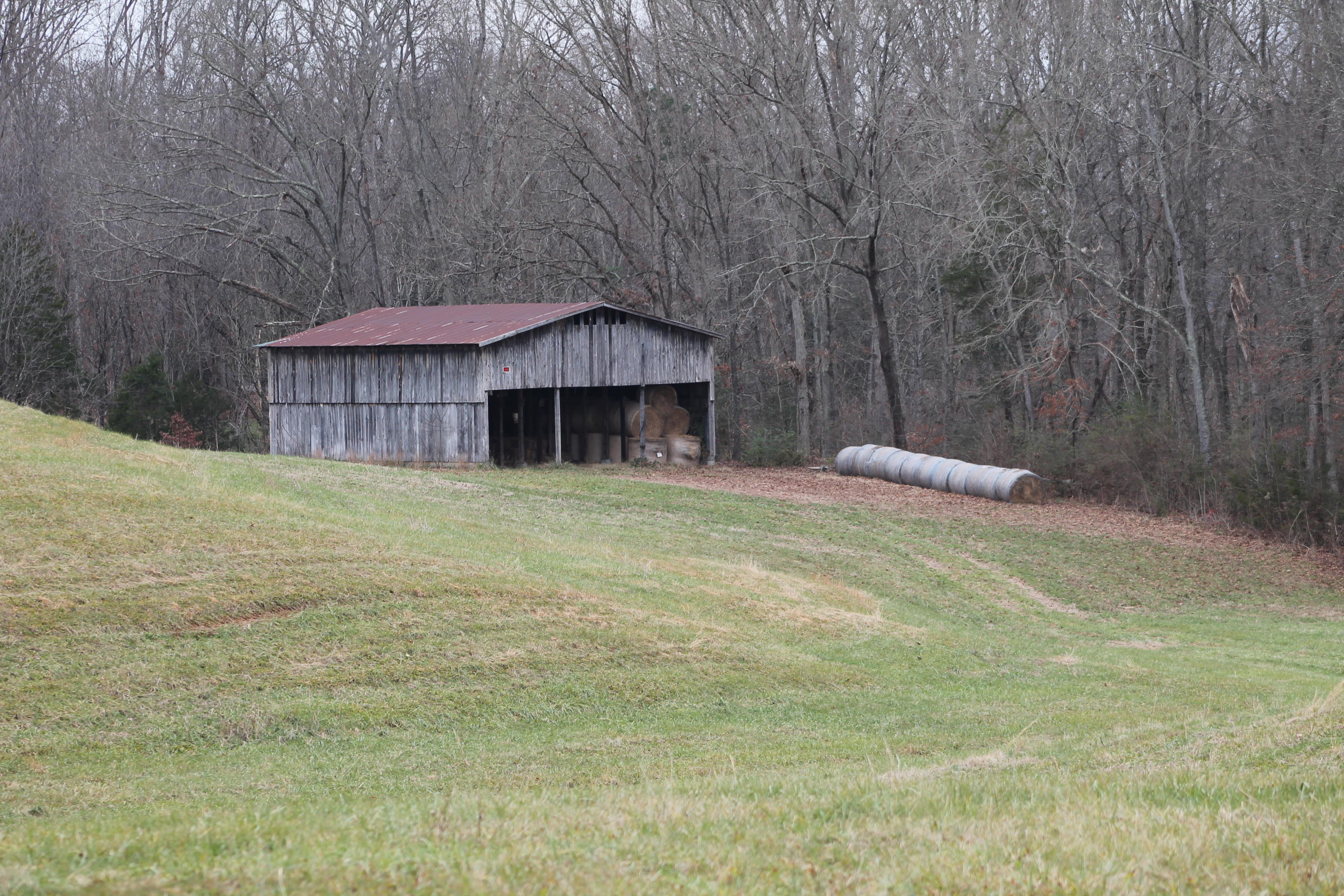 Flatwood Road Road Sevierville, TN 37862 - Photo 1 of 9 IMG_6192