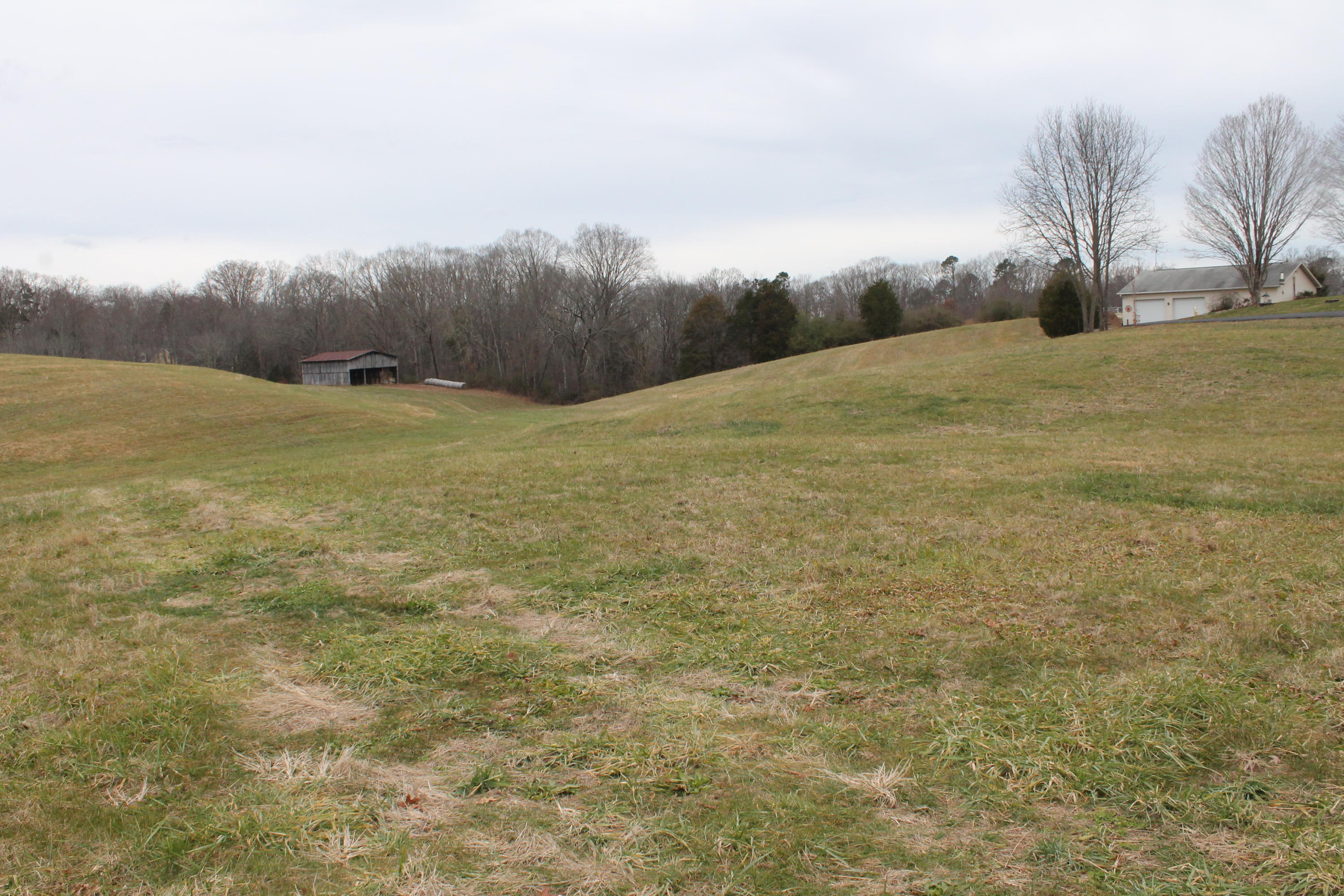 Flatwood Road Road Sevierville, TN 37862 - Photo 2 of 9 IMG_6185