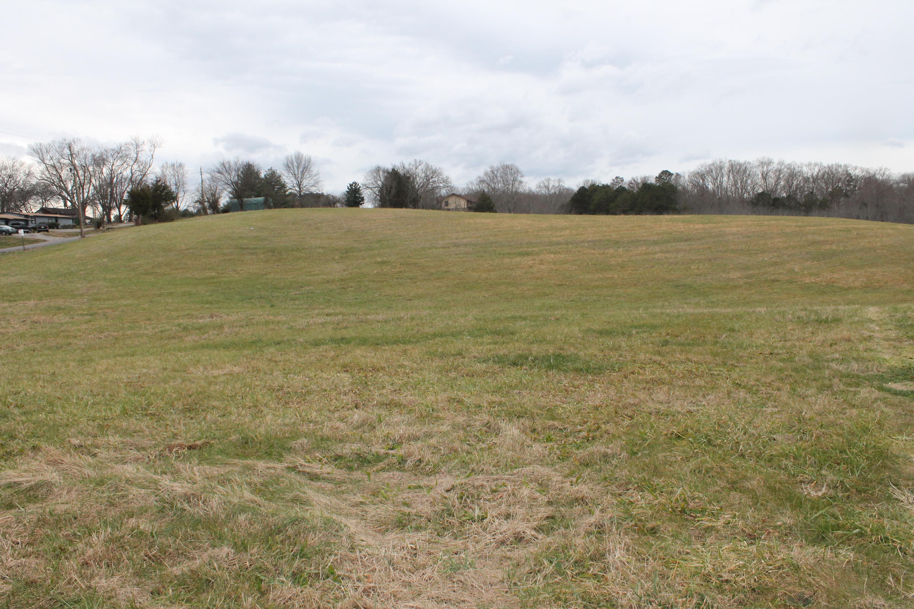 Flatwood Road Road Sevierville, TN 37862 - Photo 3 of 9 IMG_6186