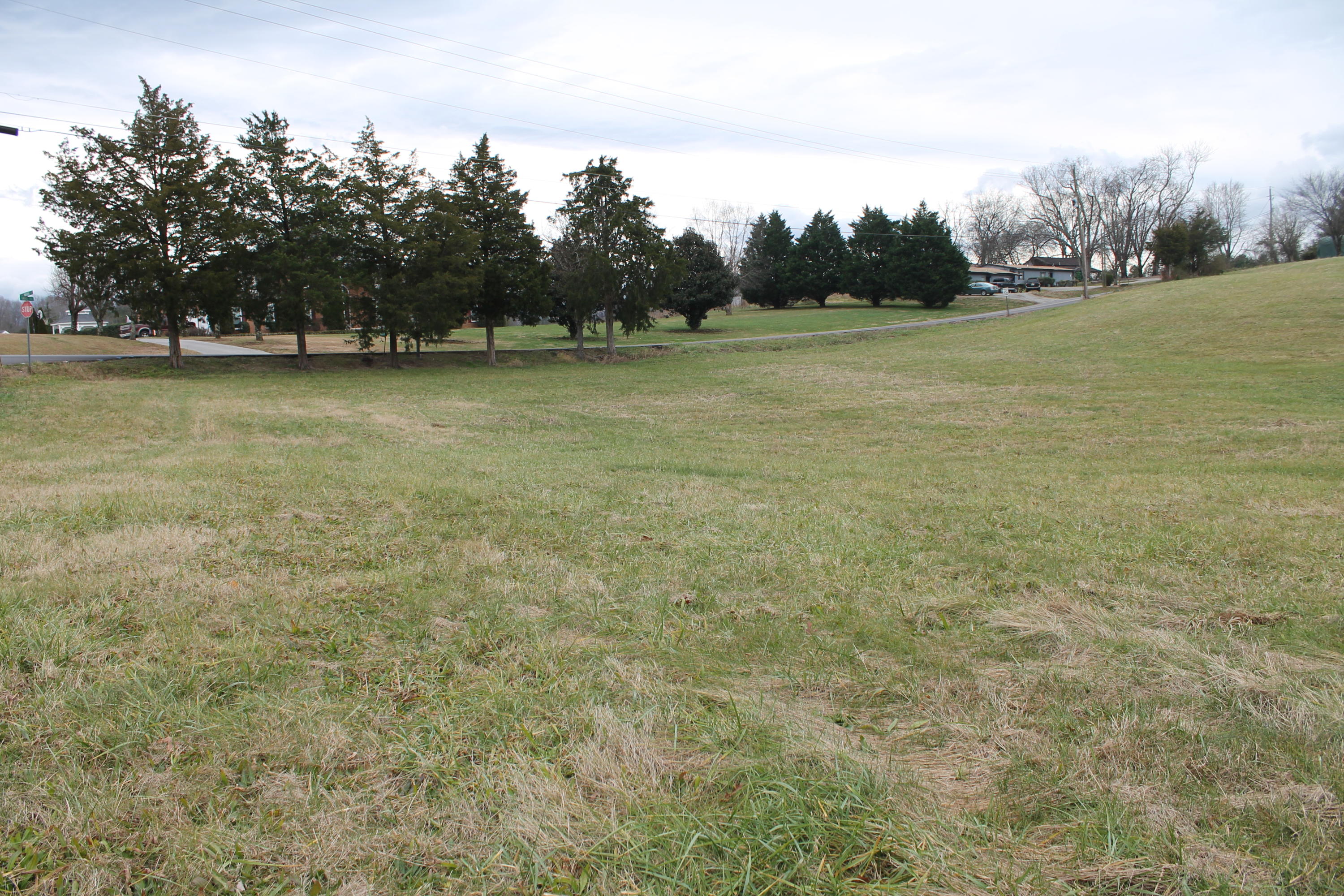 Flatwood Road Road Sevierville, TN 37862 - Photo 4 of 9 IMG_6187
