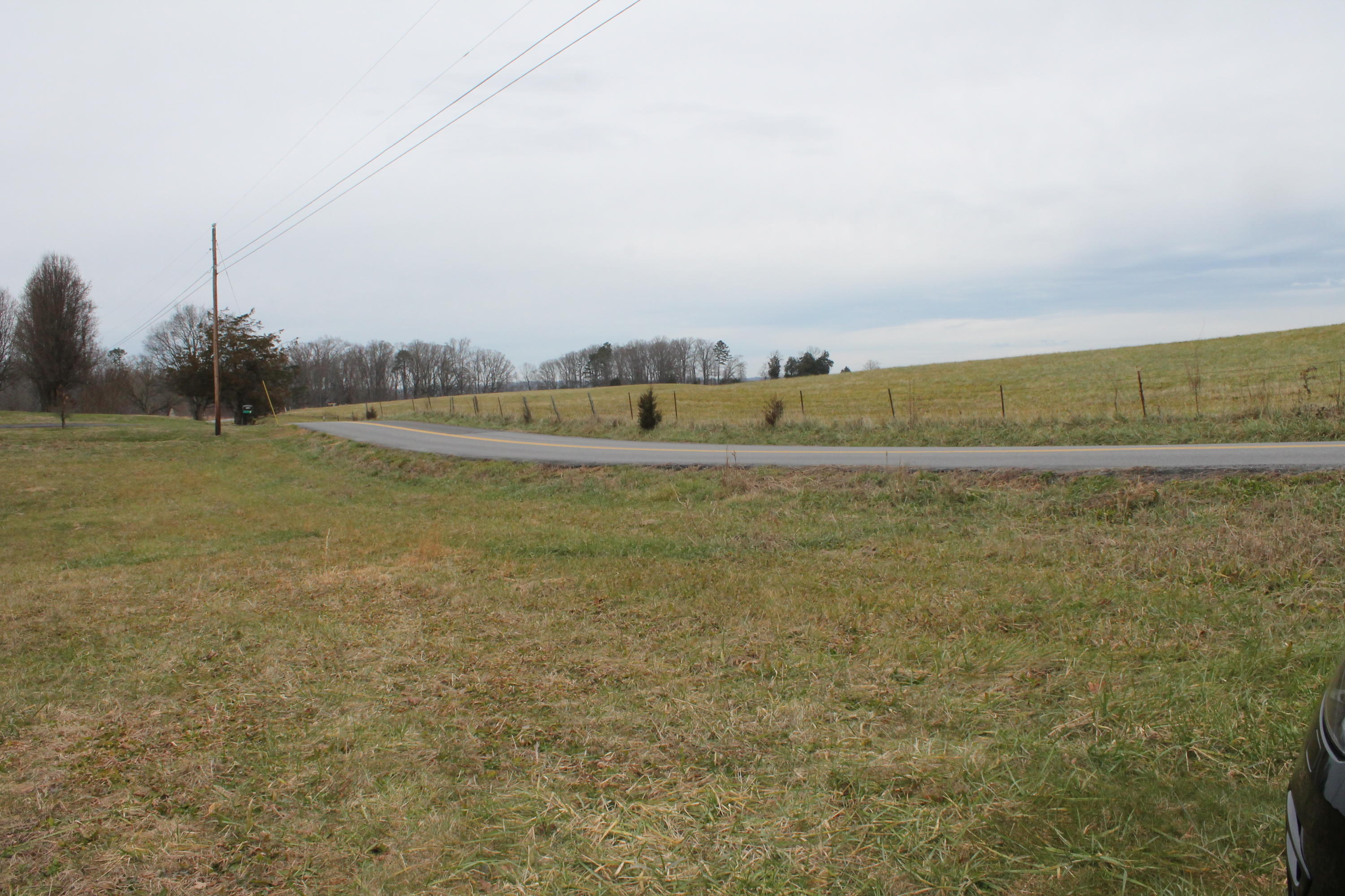 Flatwood Road Road Sevierville, TN 37862 - Photo 6 of 9 IMG_6189