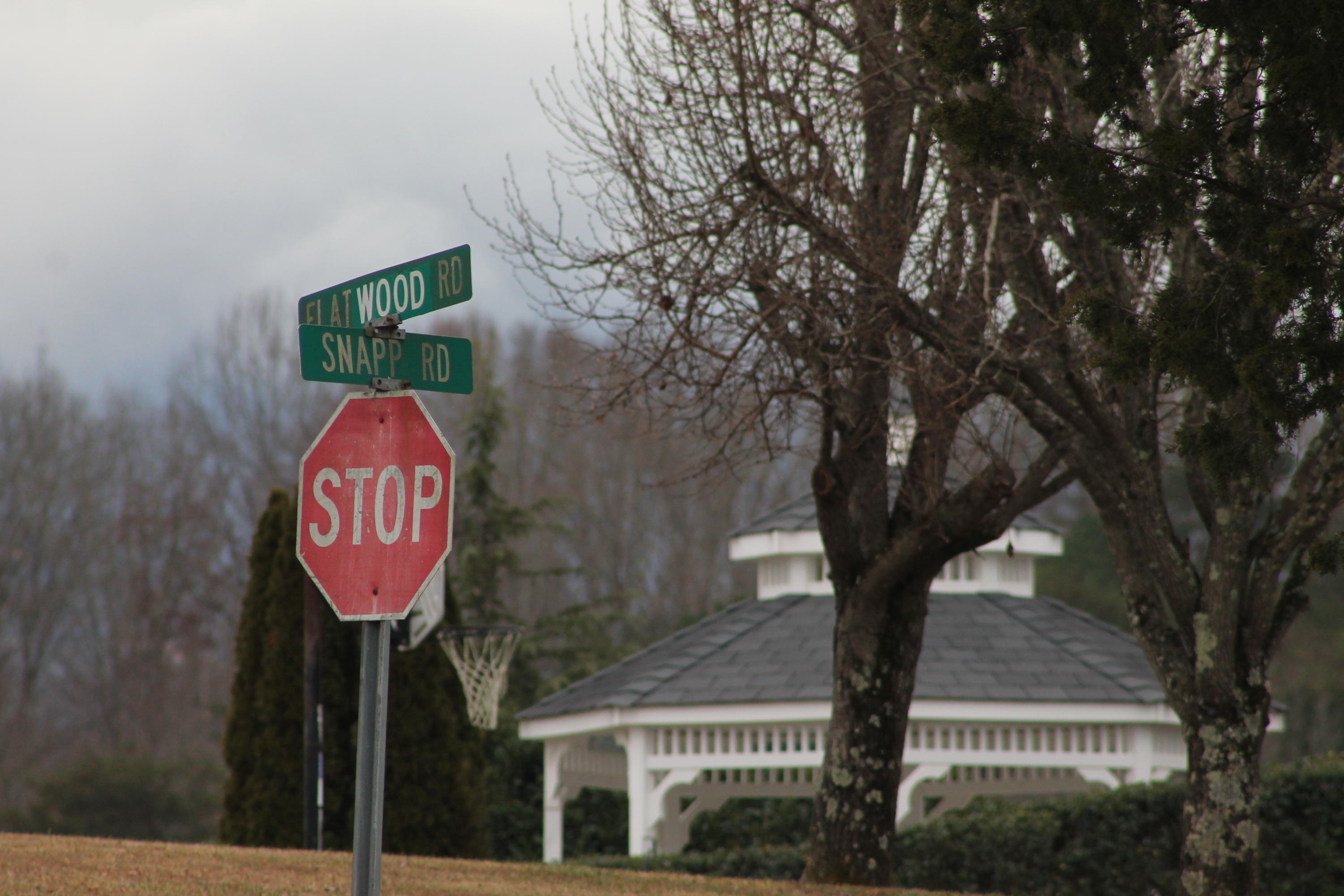 Flatwood Road Road Sevierville, TN 37862 - Photo 9 of 9 IMG_6193