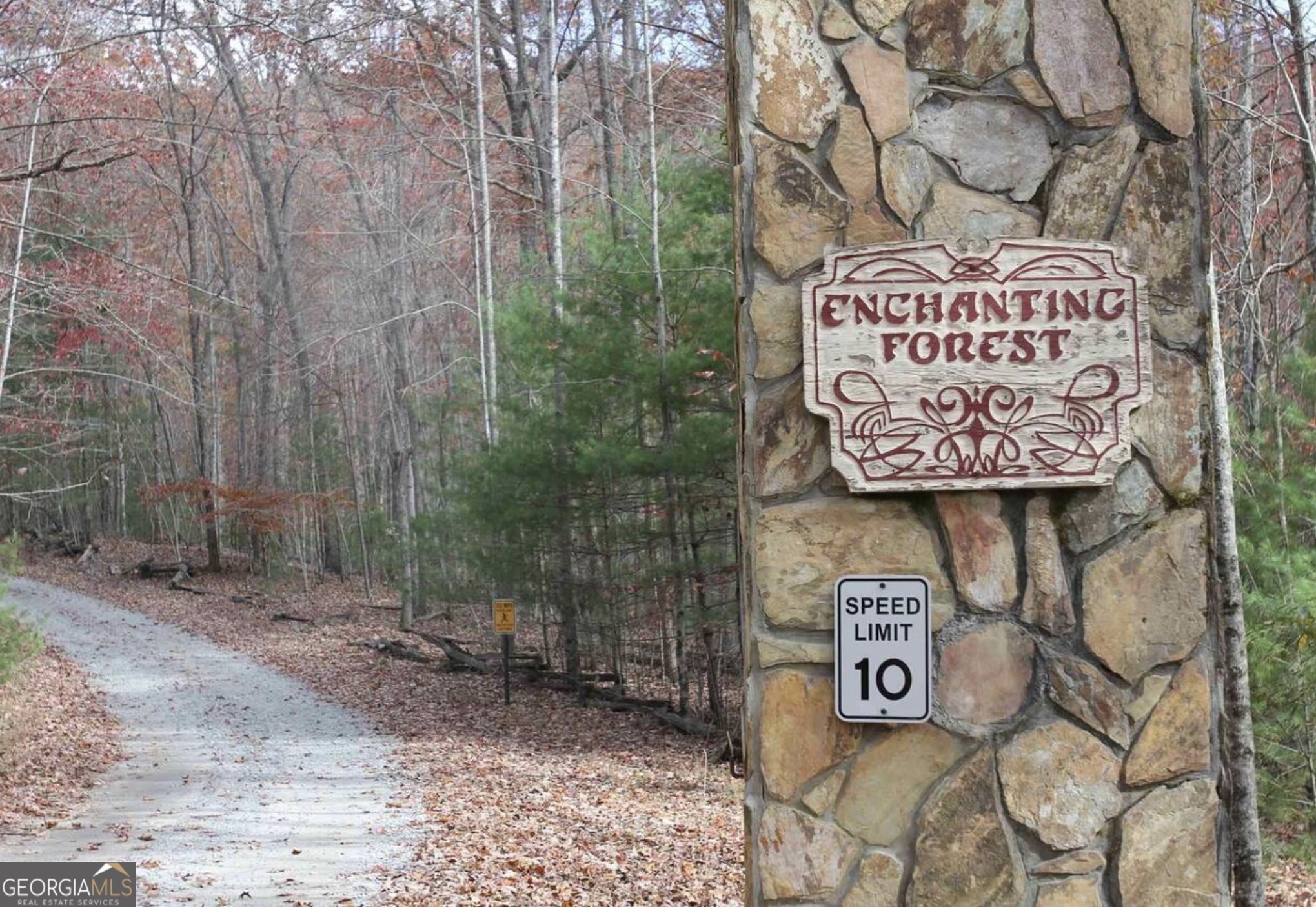 0 Deer Run Morganton, GA 30560 - Photo 3 of 7