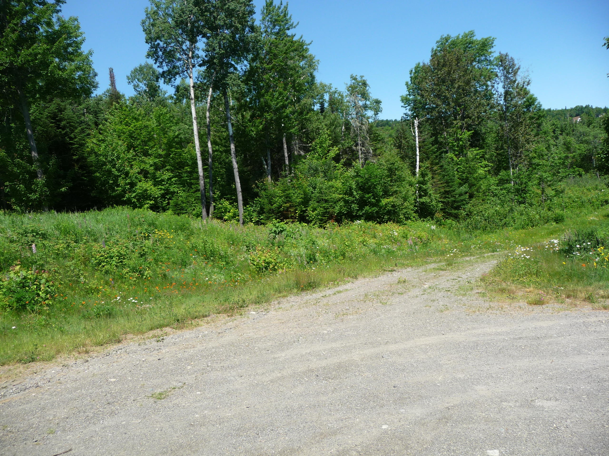 Lot 13 Whispering Ridge Drive Eustis, ME 04936 - Photo 2 of 6 P1100998