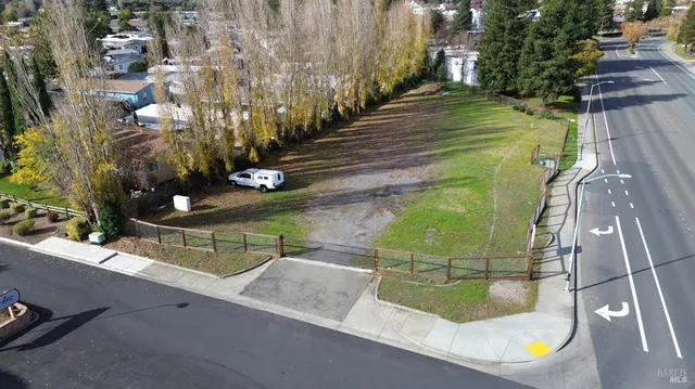 a view of a park with palm trees