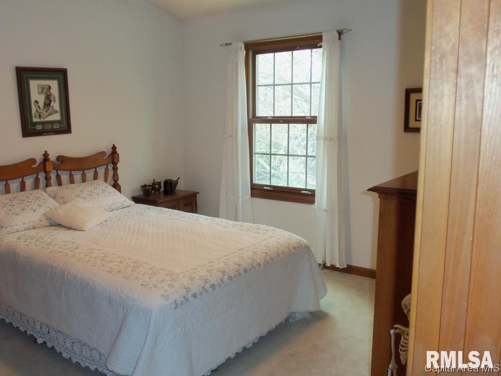817 High Pointe Drive Springfield, IL 62702 - Photo 12 of 14